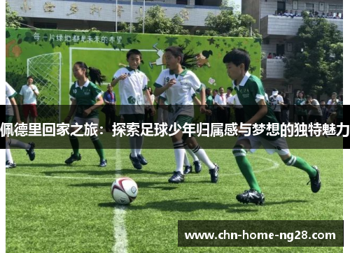佩德里回家之旅:探索足球少年归属感与梦想的独特魅力 佩德里回家之旅:探索足球少年归属感与梦想的独特魅力