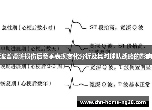 波普肾脏损伤后赛季表现变化分析及其对球队战略的影响 波普肾脏损伤后赛季表现变化分析及其对球队战略的影响