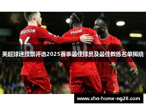 英超球迷投票评选2025赛季最佳球员及最佳教练名单揭晓