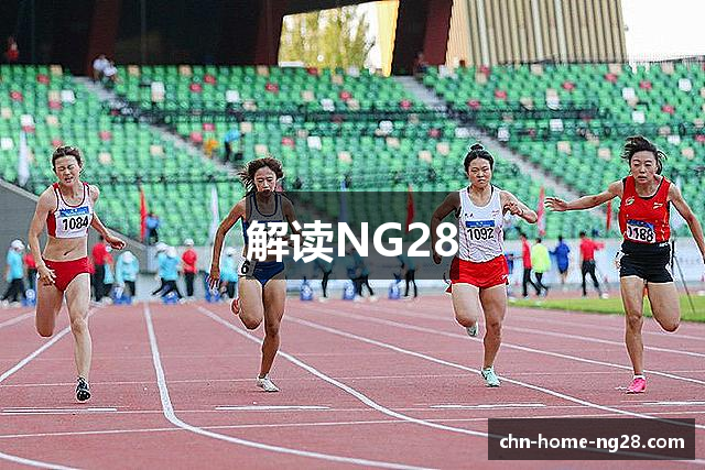 解读NG28